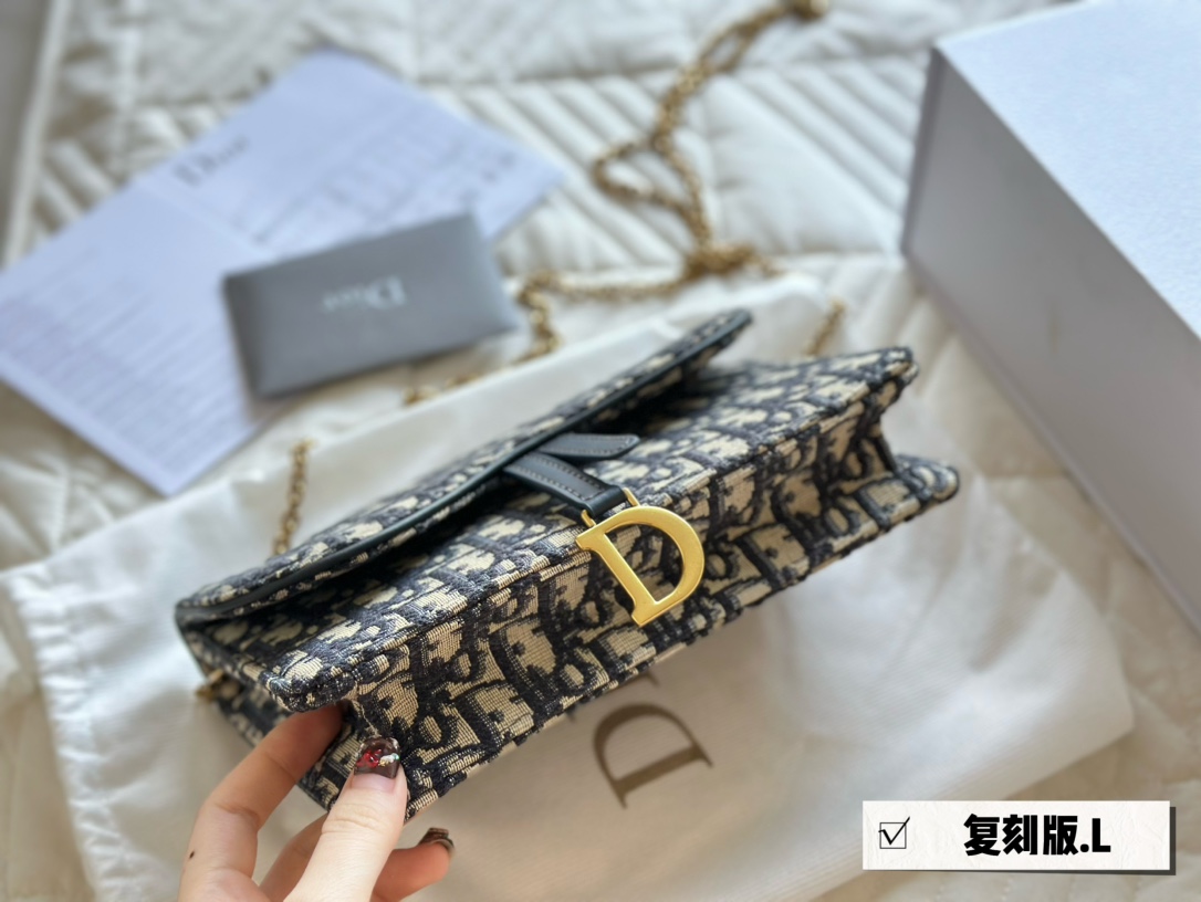 Dior saddle woc