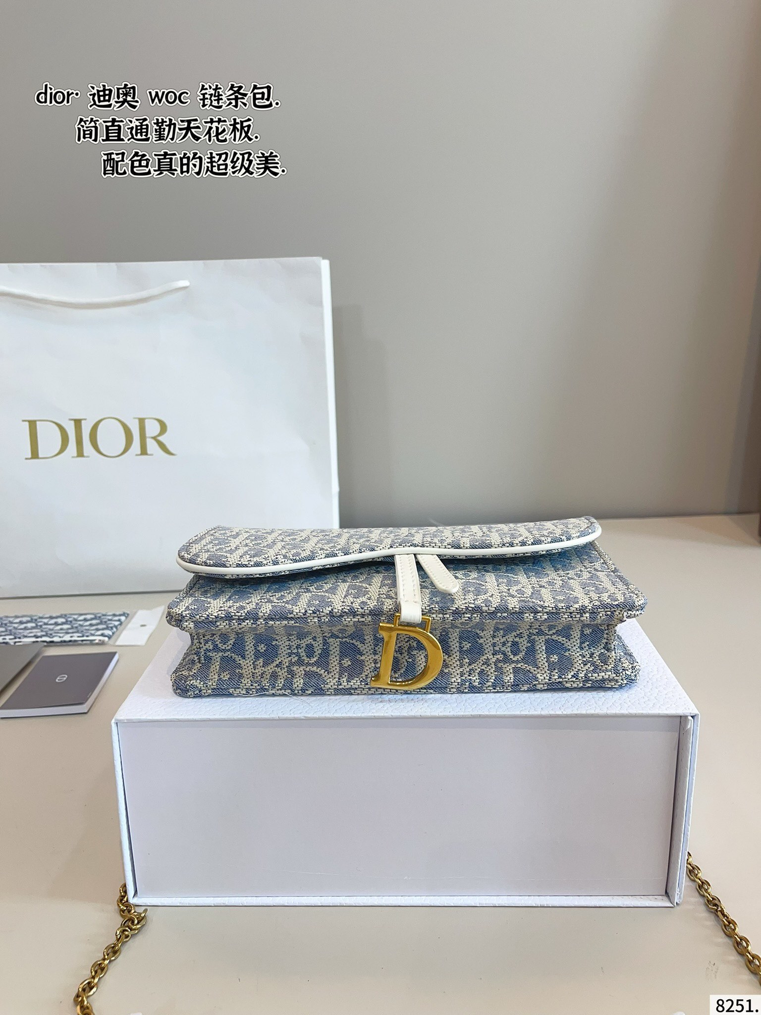 woc chain bag for DIOR
