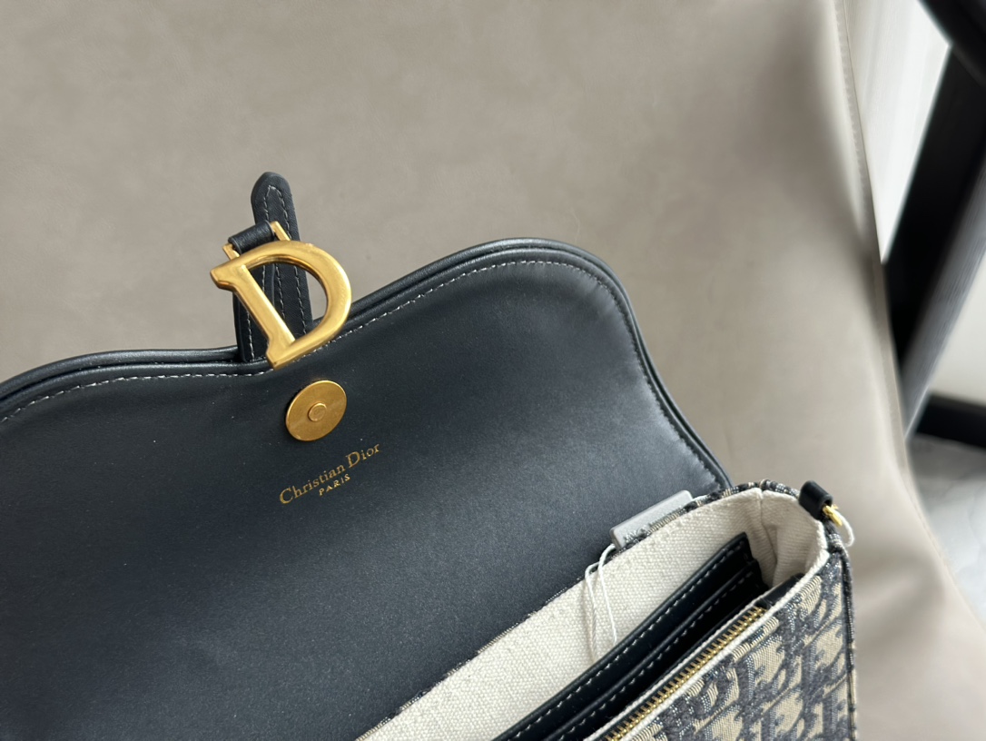 Dior saddle woc