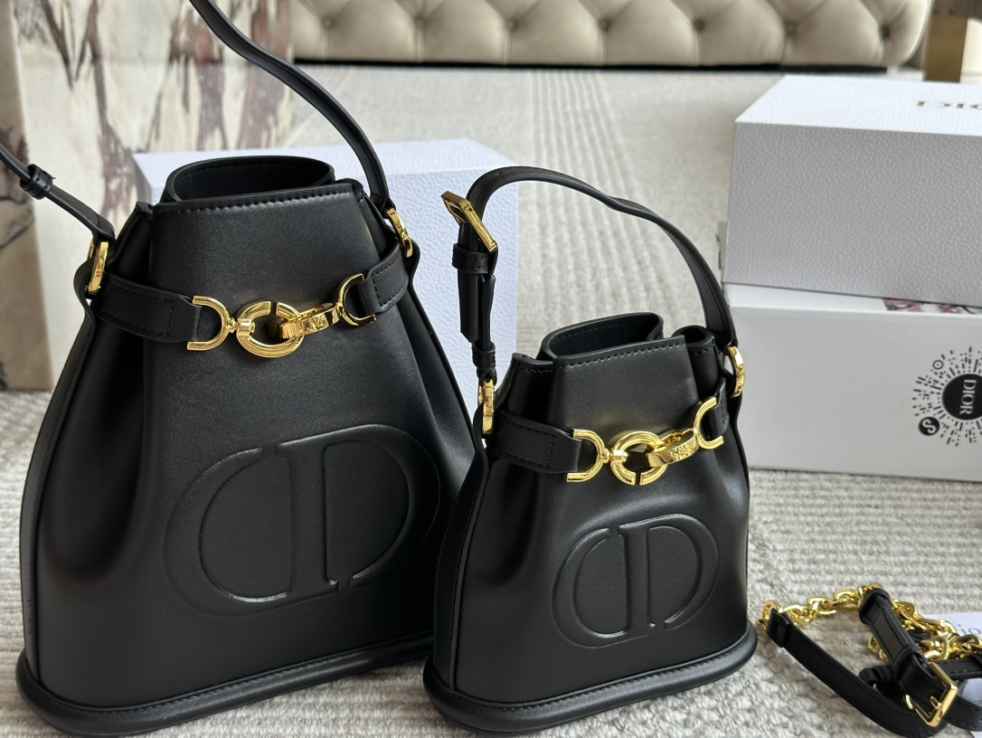 CestDior Bag