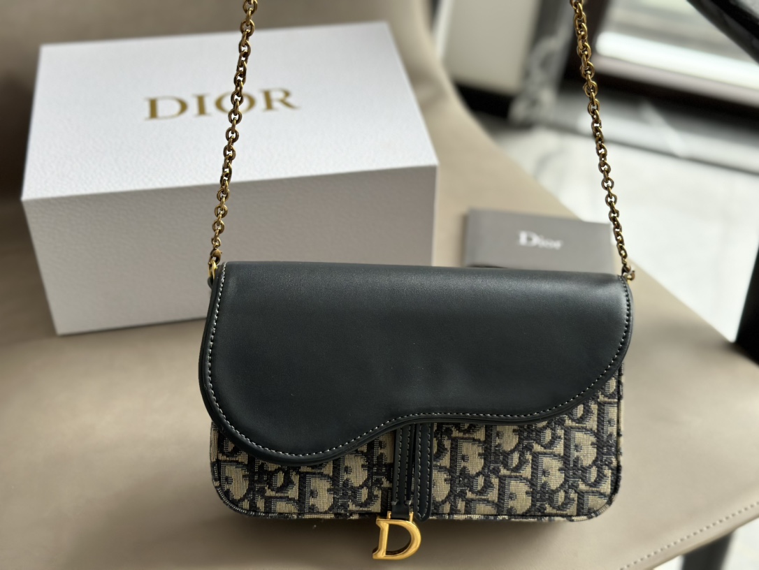 Dior saddle woc