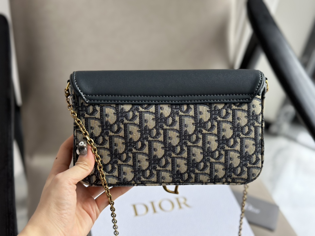 Dior saddle woc