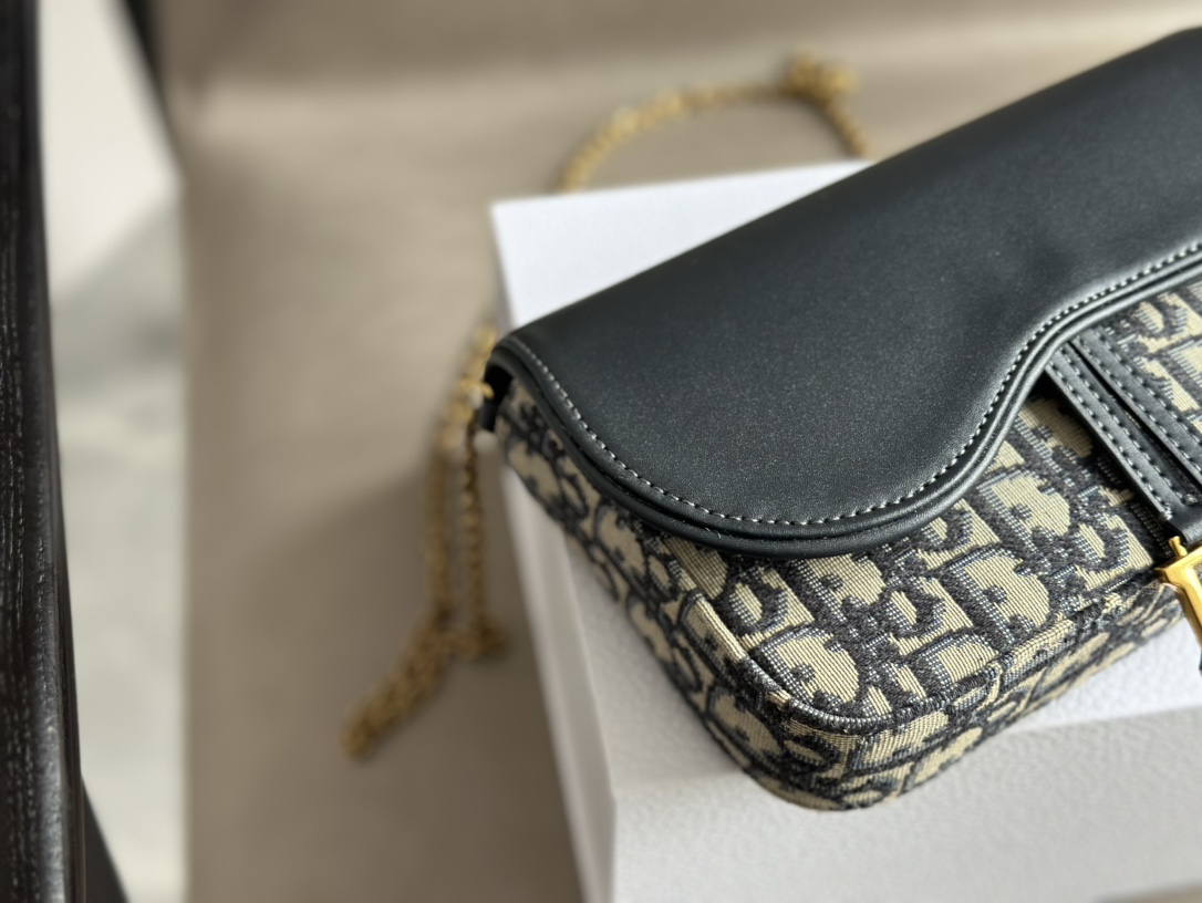 Dior saddle woc