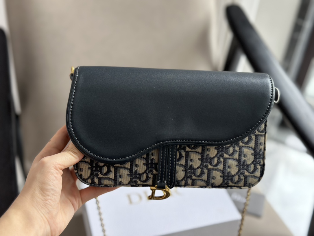 Dior saddle woc