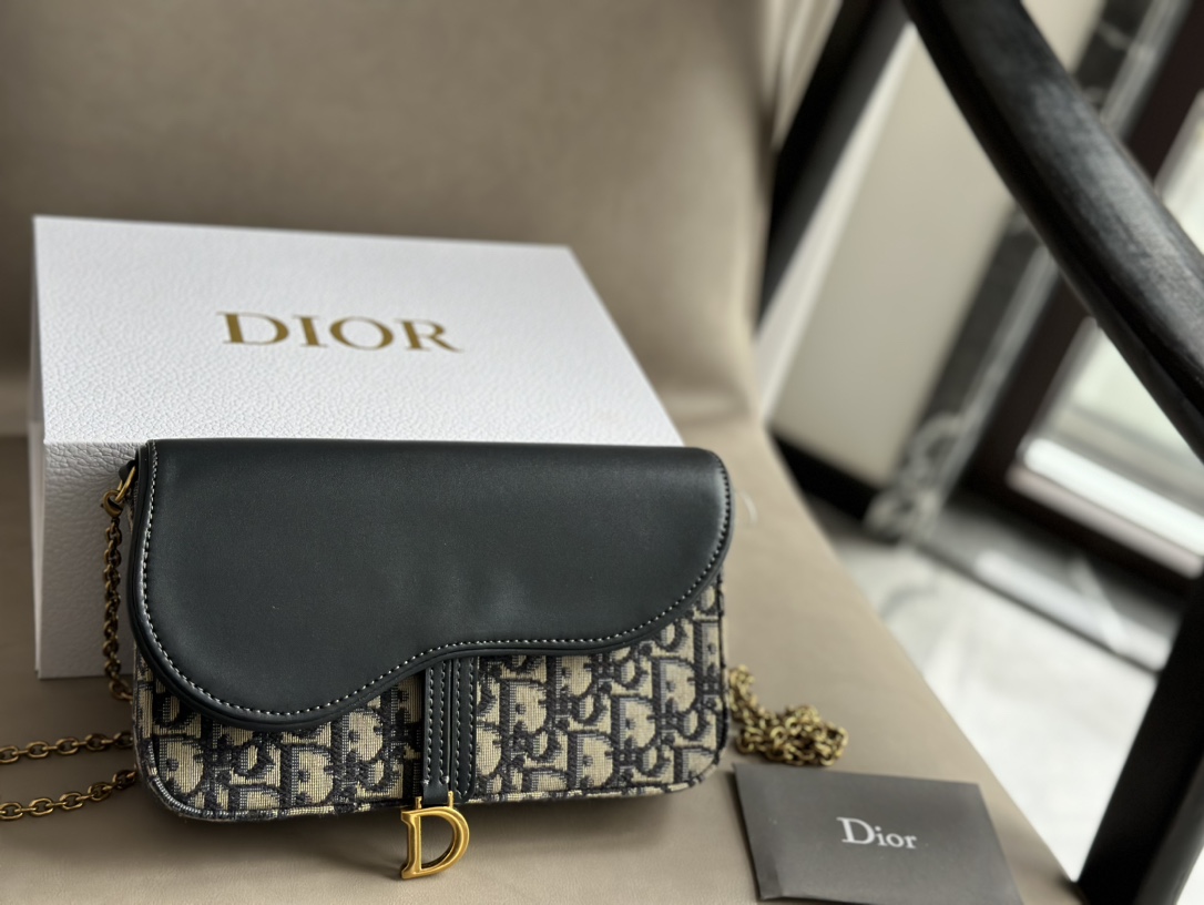 Dior saddle woc