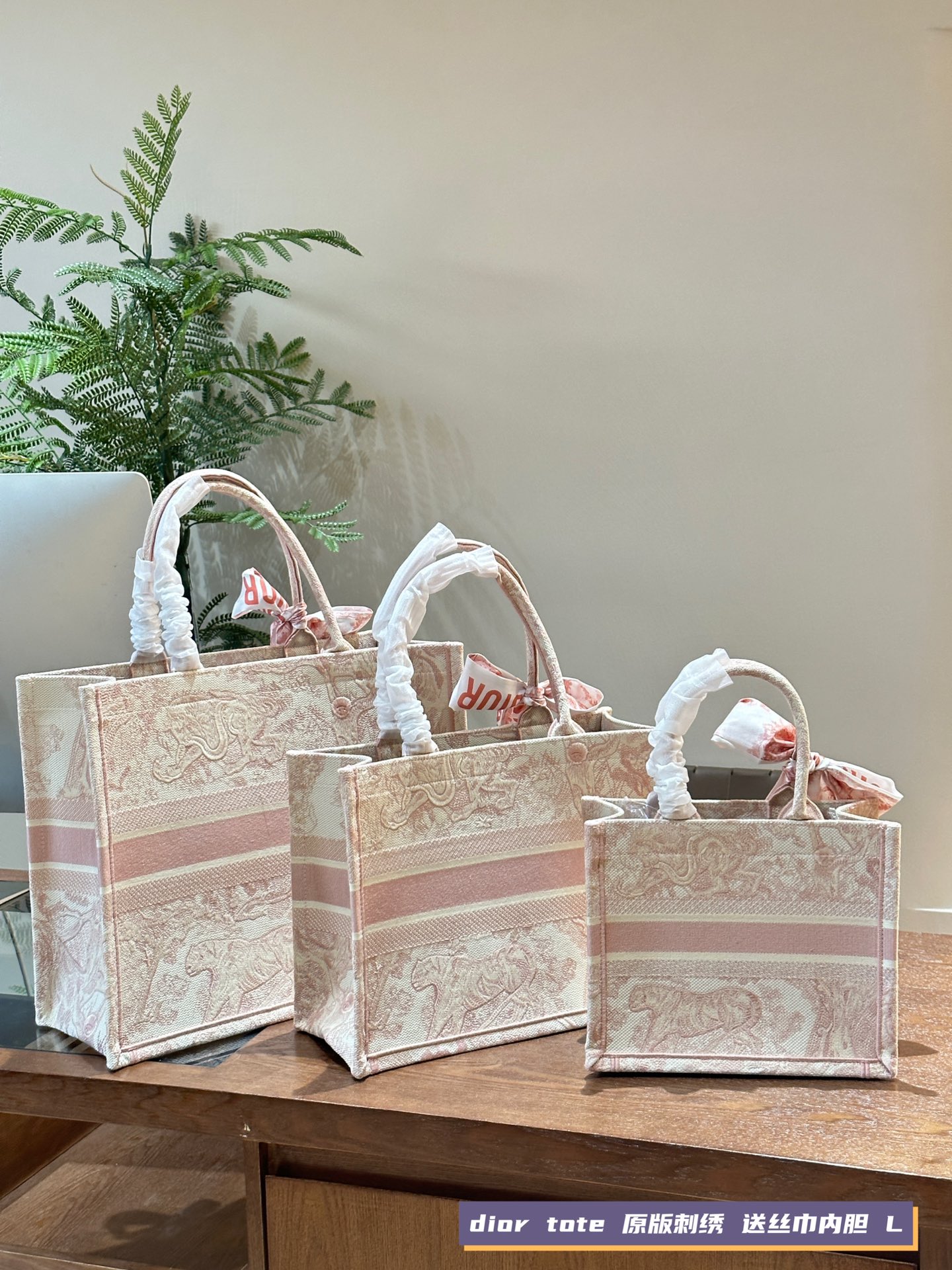 Dior Tote