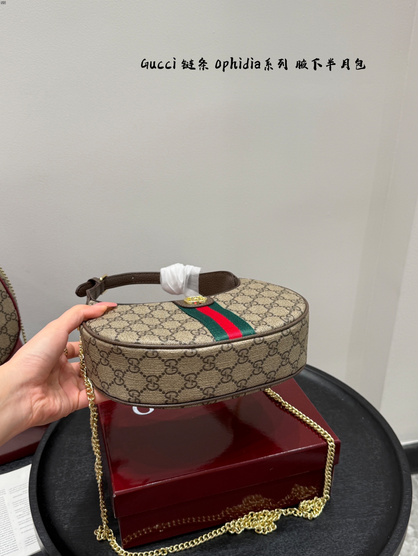 GUCCI ophidia hobo