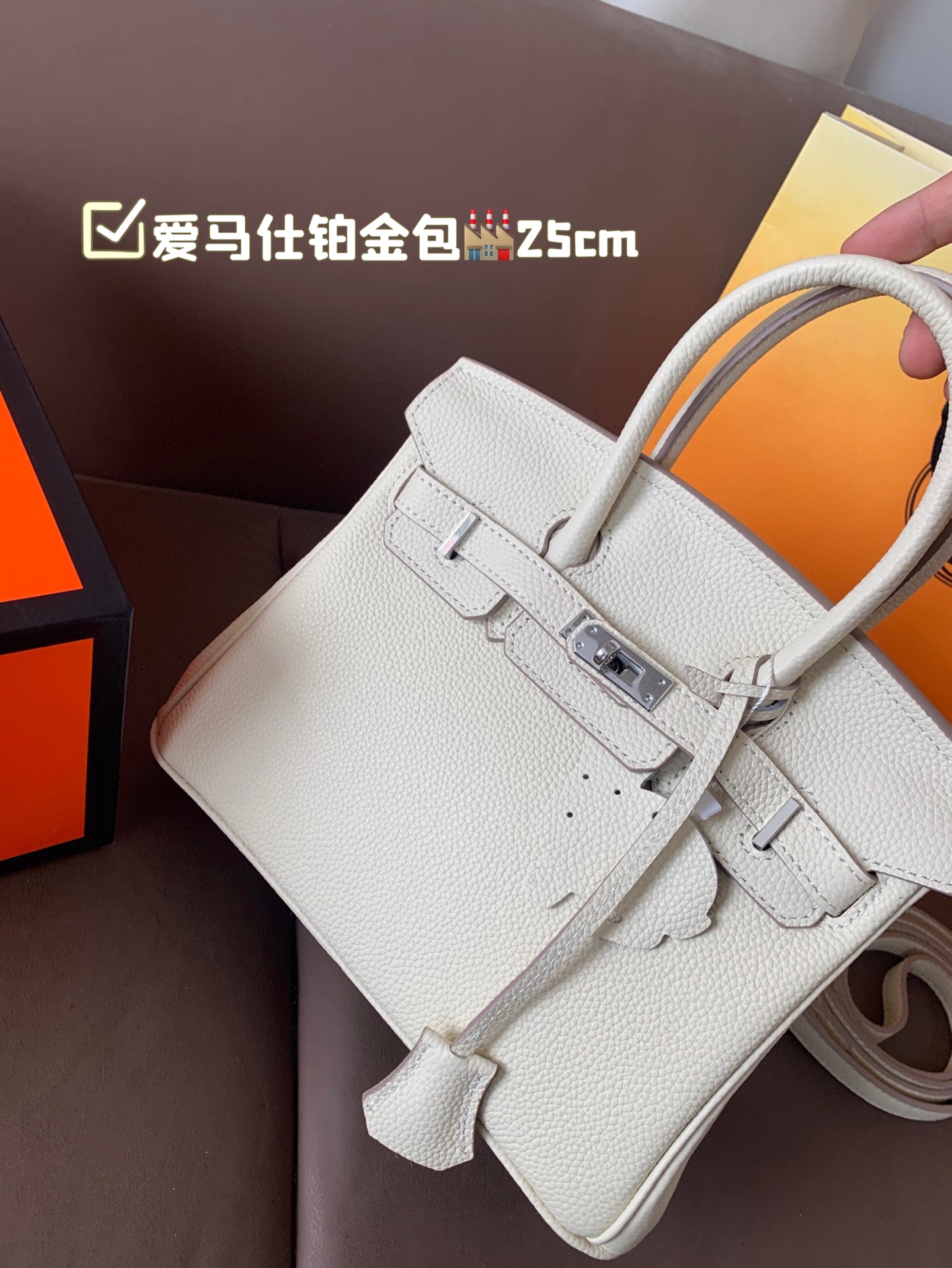 Birkin 25 white  tc