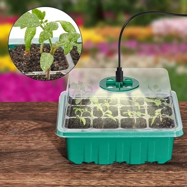 💥Last Day Promotion 49% OFF💥 - Nursery Box With Light