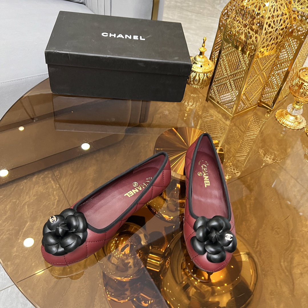 CH 25New Camellia Casual Shoes V3310