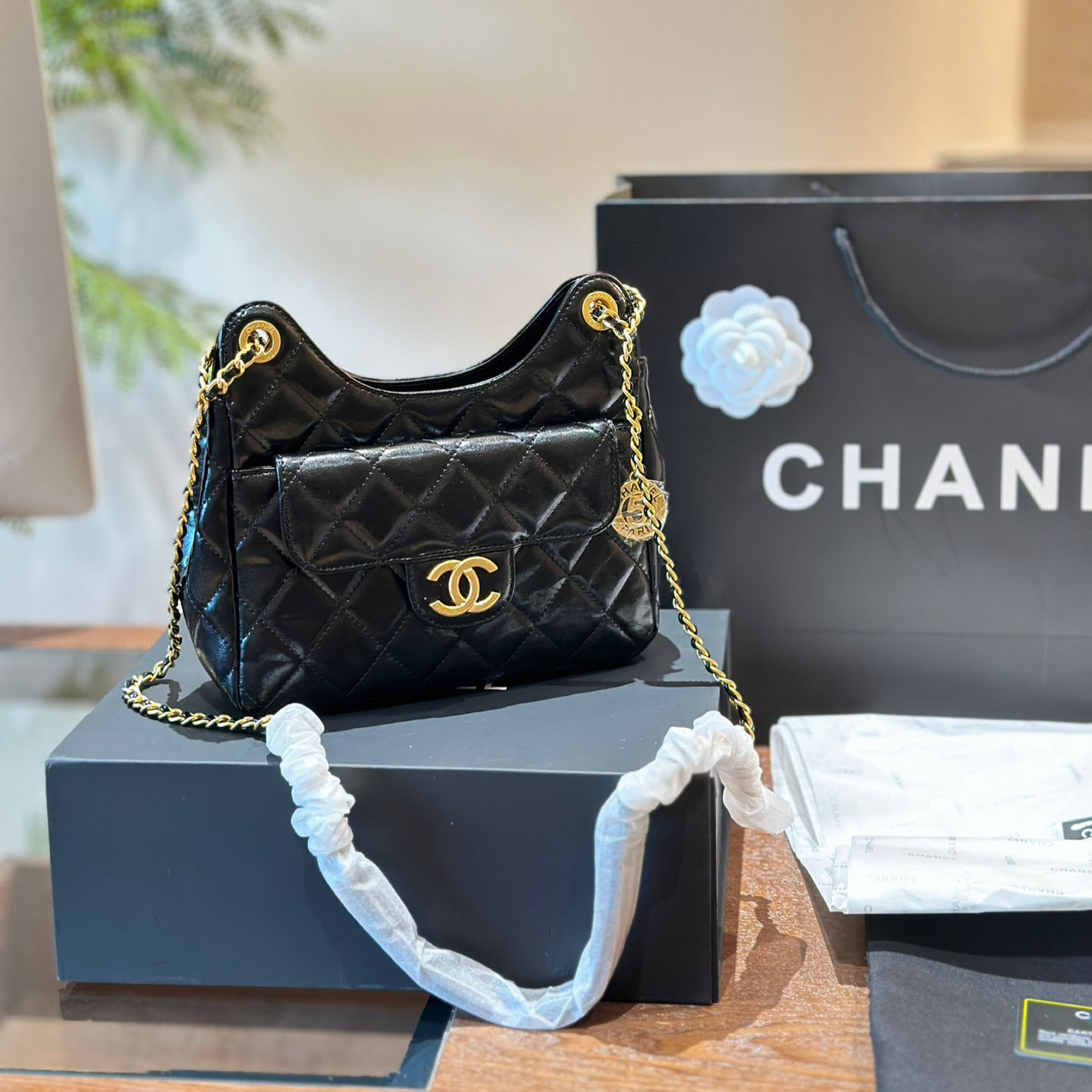 CH 23C Hobo BV24052013