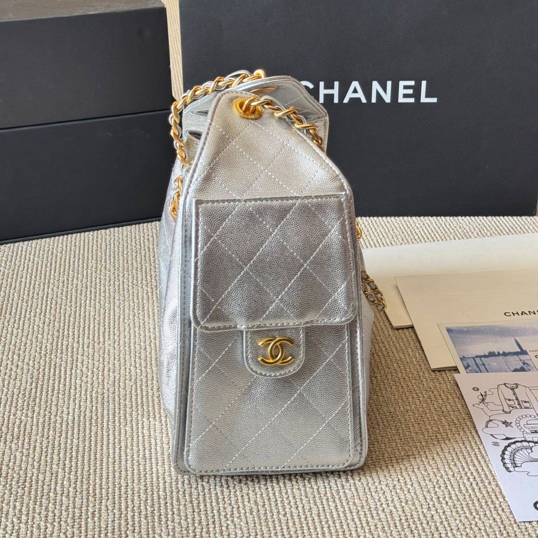 CH Classic Calfskin Hobo Bag BV24051514