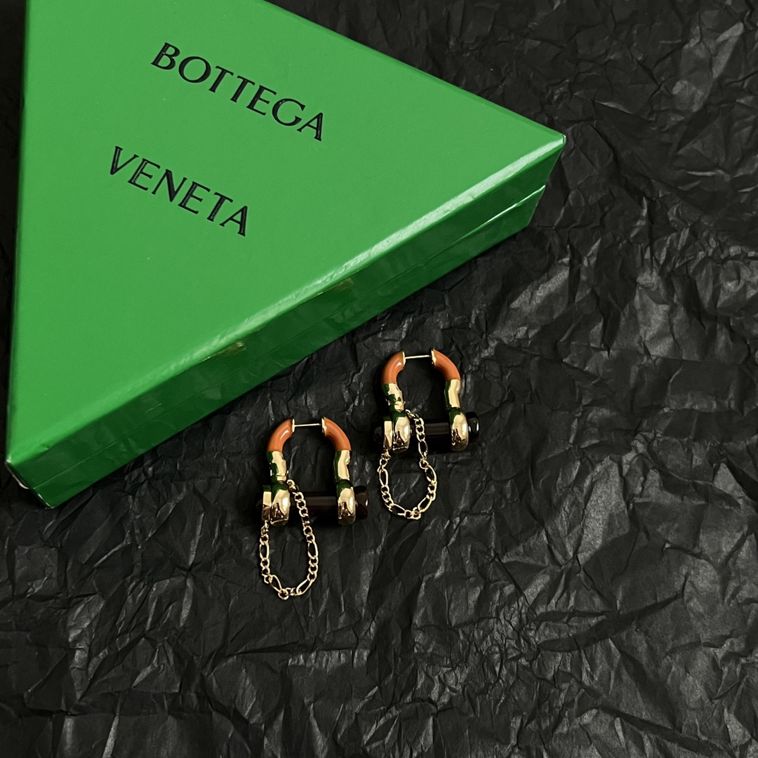BV  Designer Metal Earrings YV24060218