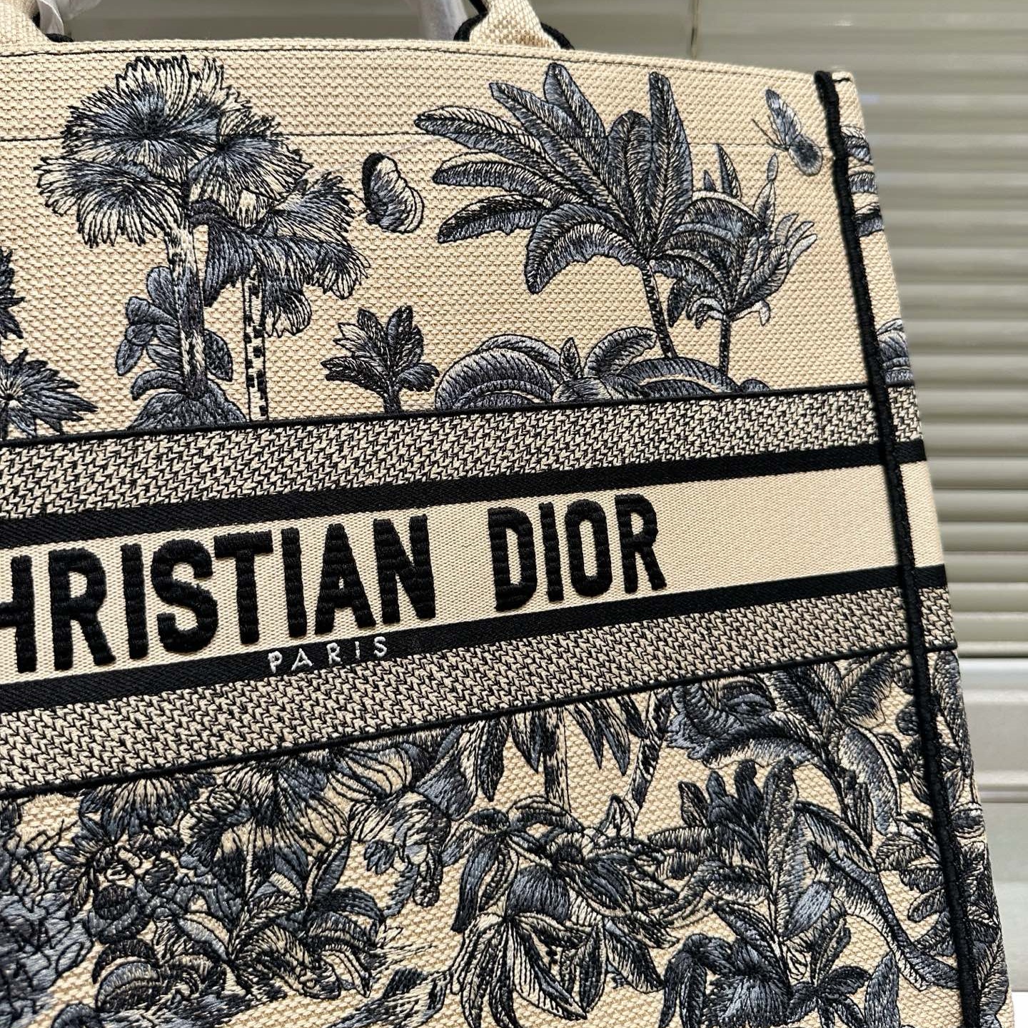 CD Large Dior Book Tote YV24060514