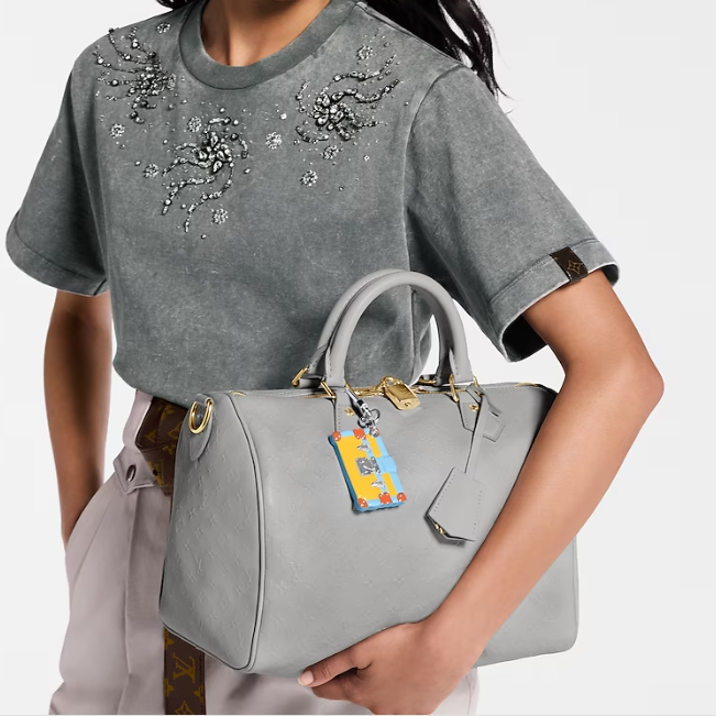 LV Pre-Fall 2025 Collection Speedy Soft 30  YV24060507