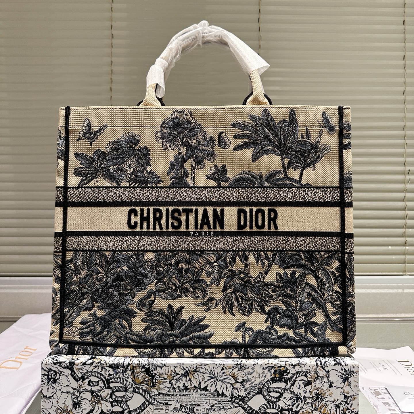CD Large Dior Book Tote YV24060514
