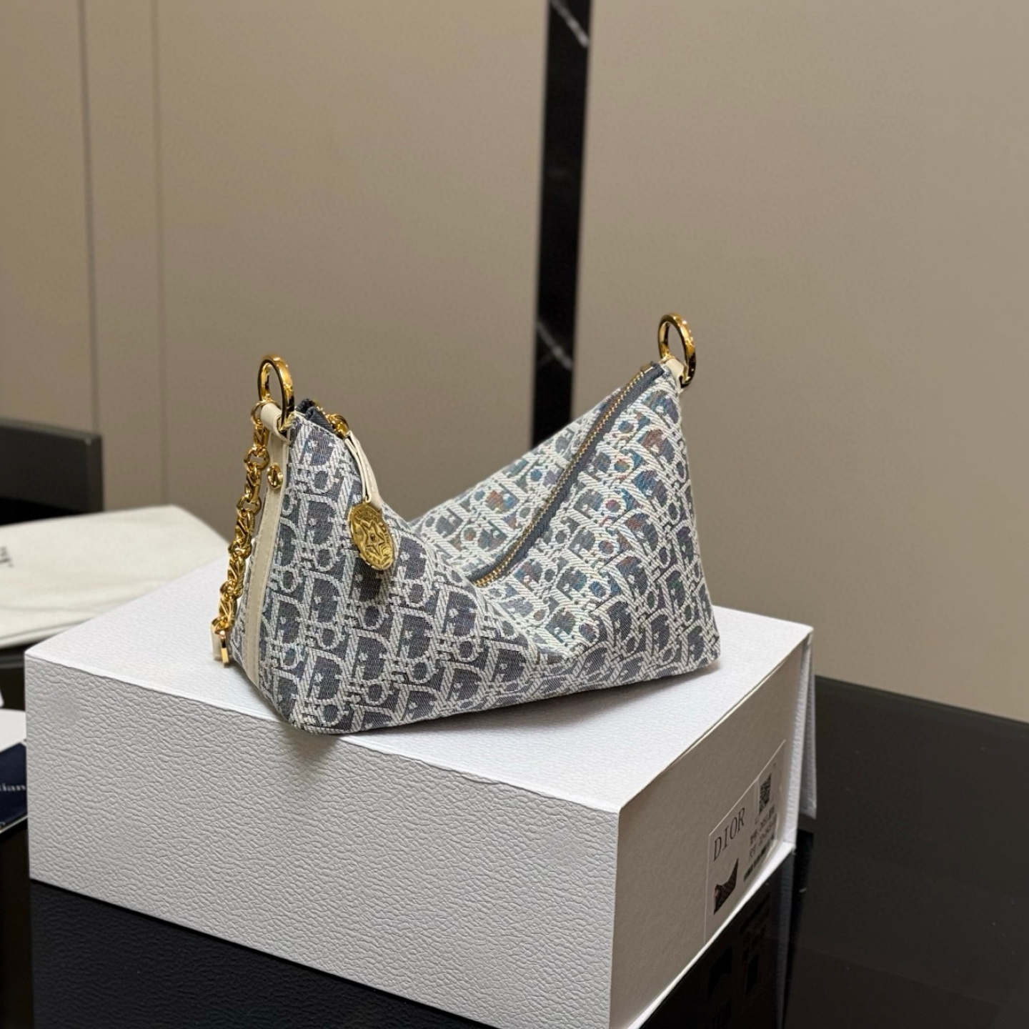 CD  Classic Fabric Oblique  Bag YV24060609