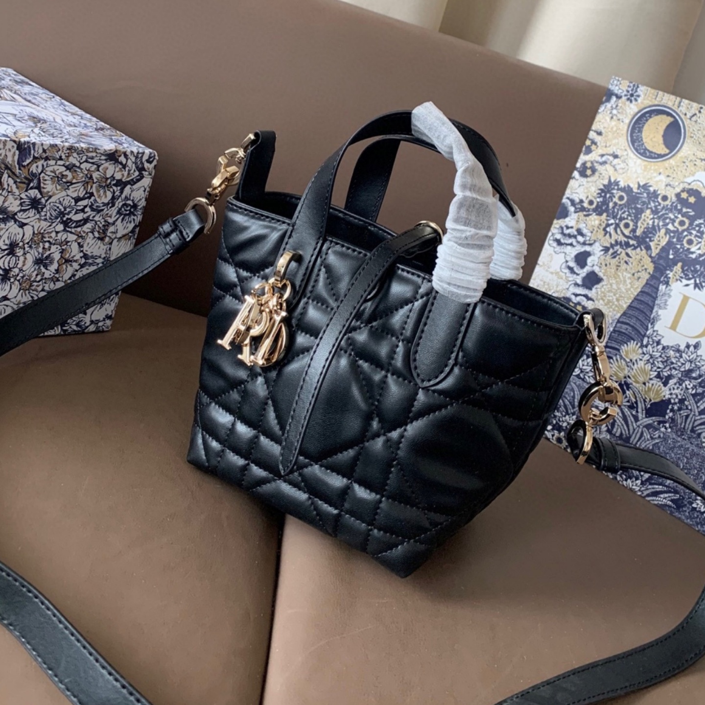 CD  Toujours Vertical Nano Tote Bag YV24060610