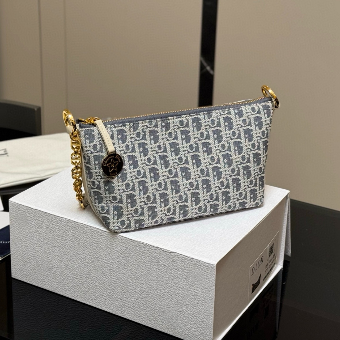 CD  Classic Fabric Oblique  Bag YV24060609