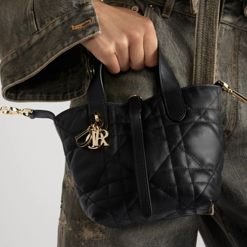 CD  Toujours Vertical Nano Tote Bag YV24060610