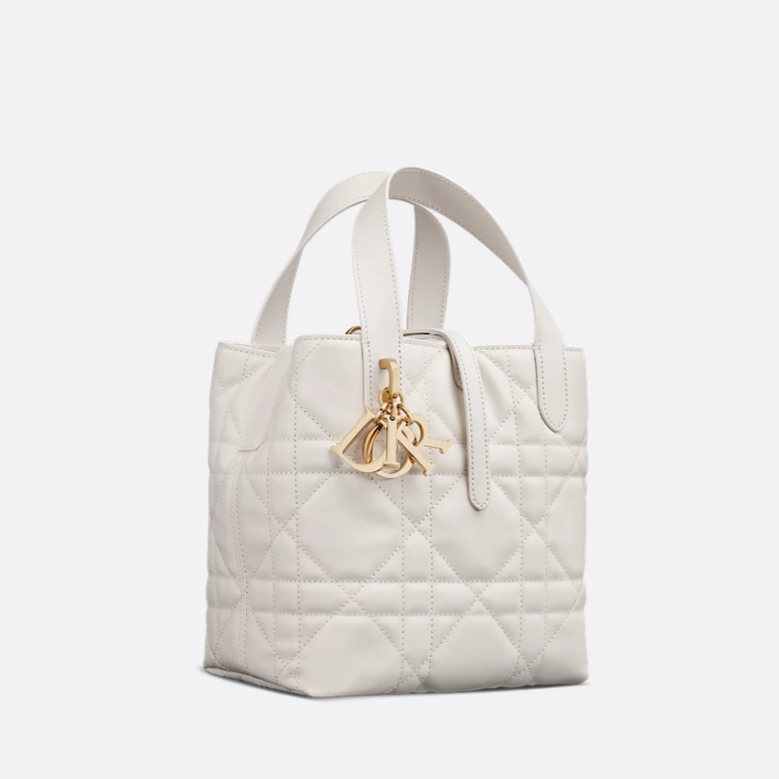 CD  Toujours Vertical Nano Tote Bag YV24060610