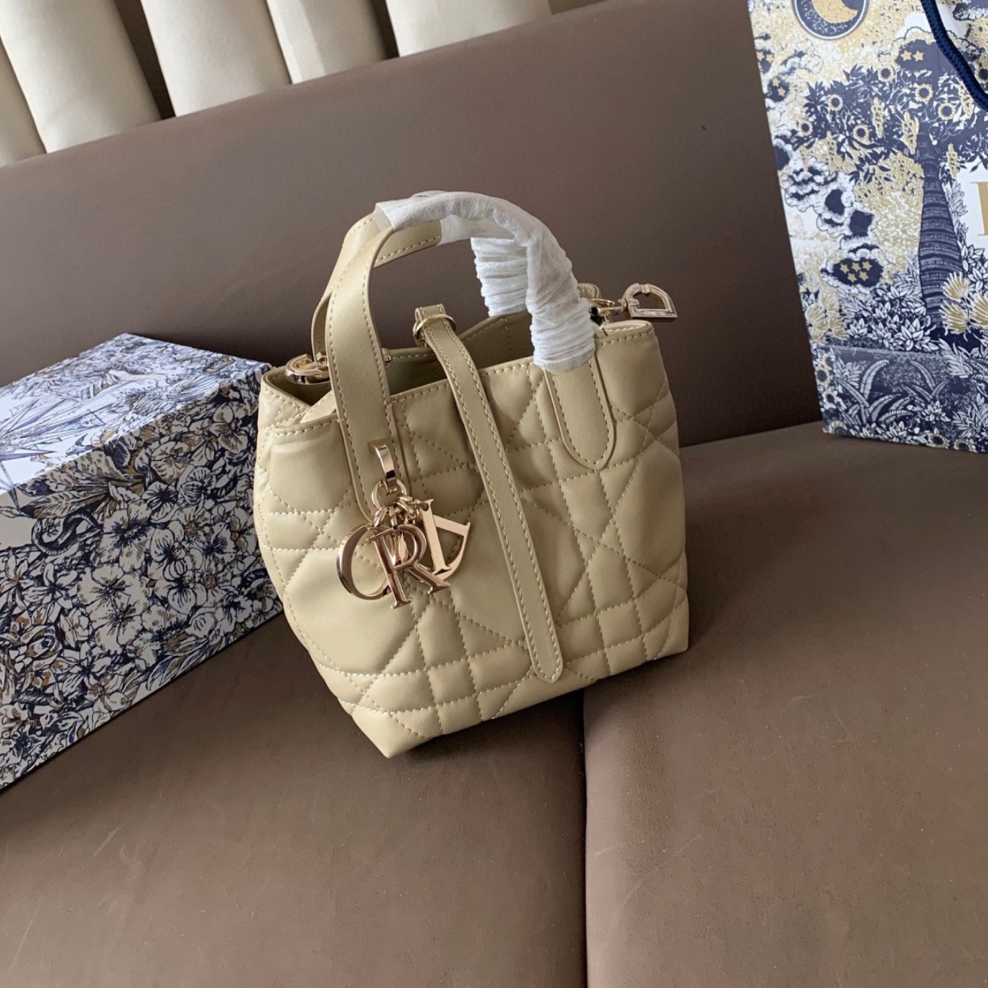 CD  Toujours Vertical Nano Tote Bag YV24060610