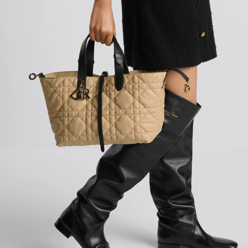 CD  Toujours Vertica lMedium Tote Bag YV24061201