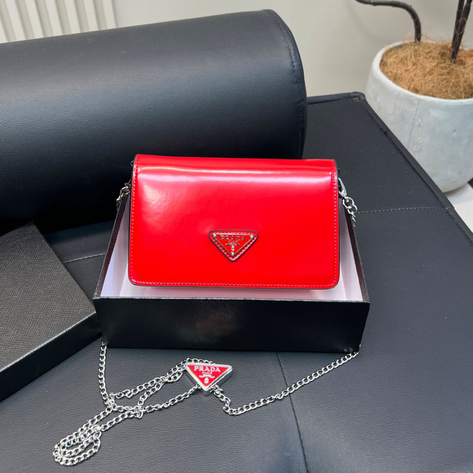 PRA Chain Shoulder Bag Ev25061015