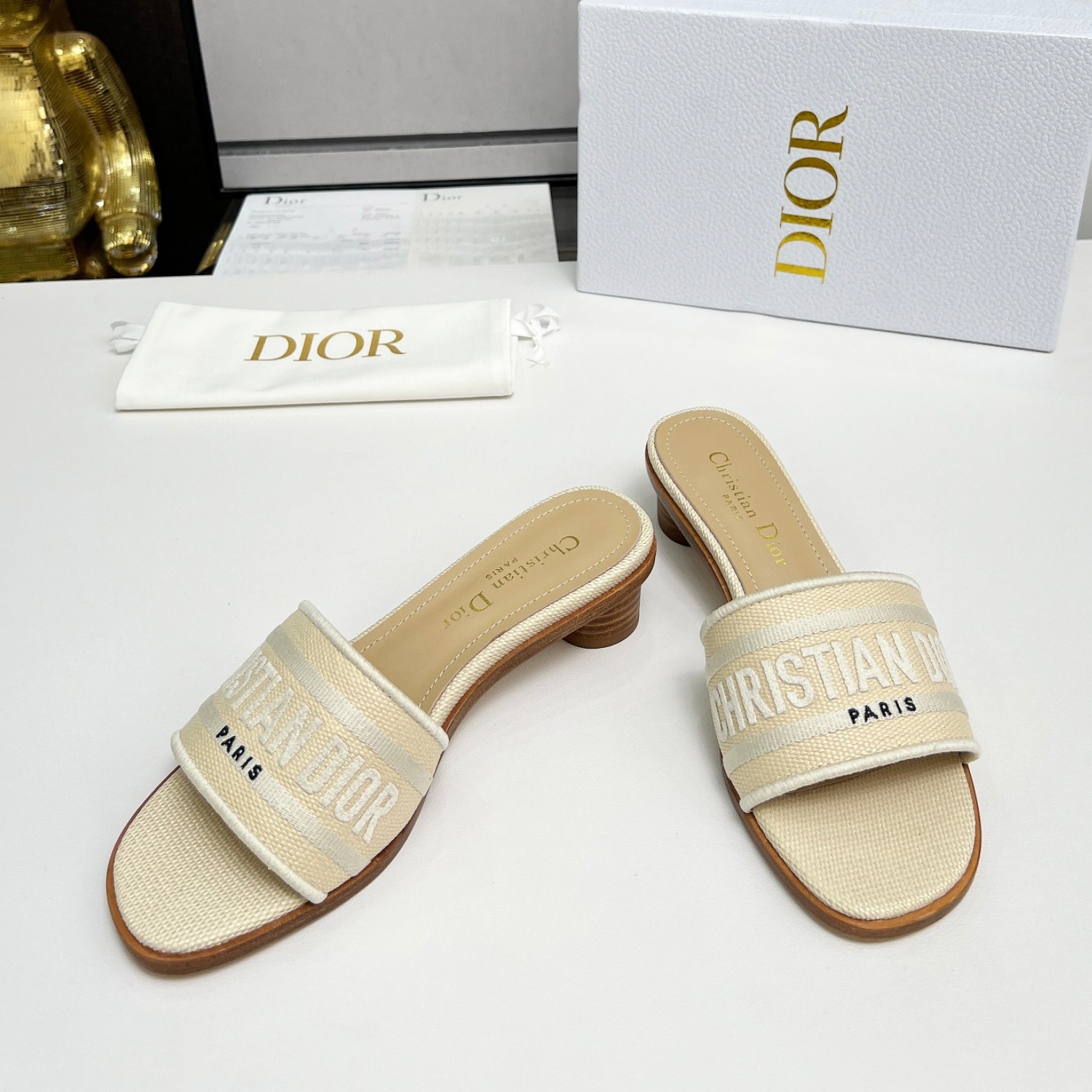 CD Raffia and Embroidered Cotton Heeled Slide YV24061423