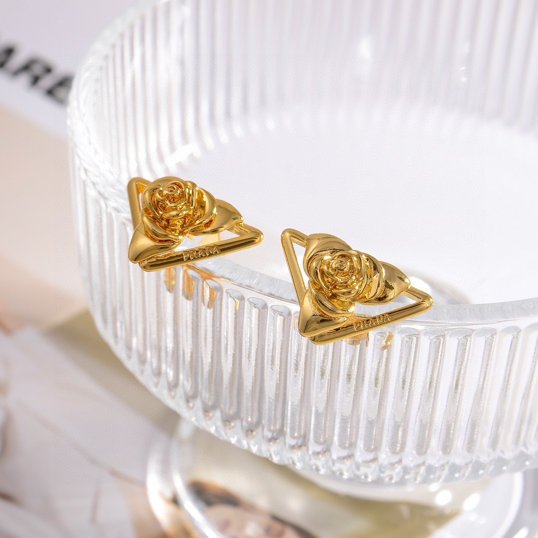 PRA Triangle Earrings Ev25061055