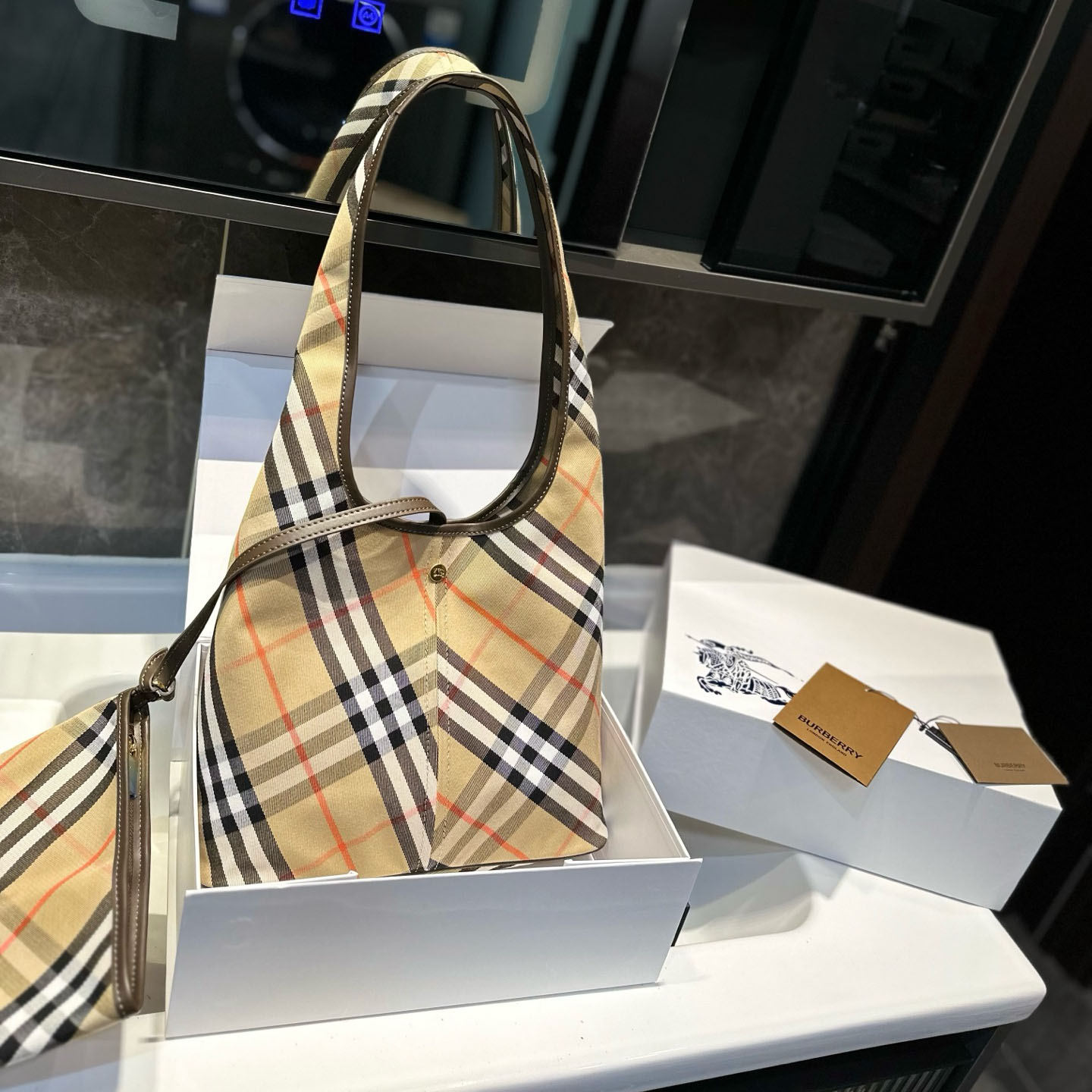 Bur Checkered Tote Bag Ev25061133