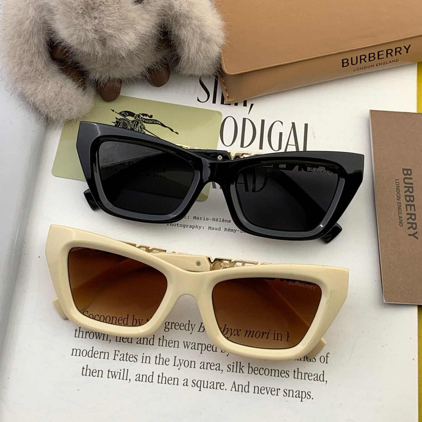 Bur Square Sunglasses Ev25061204