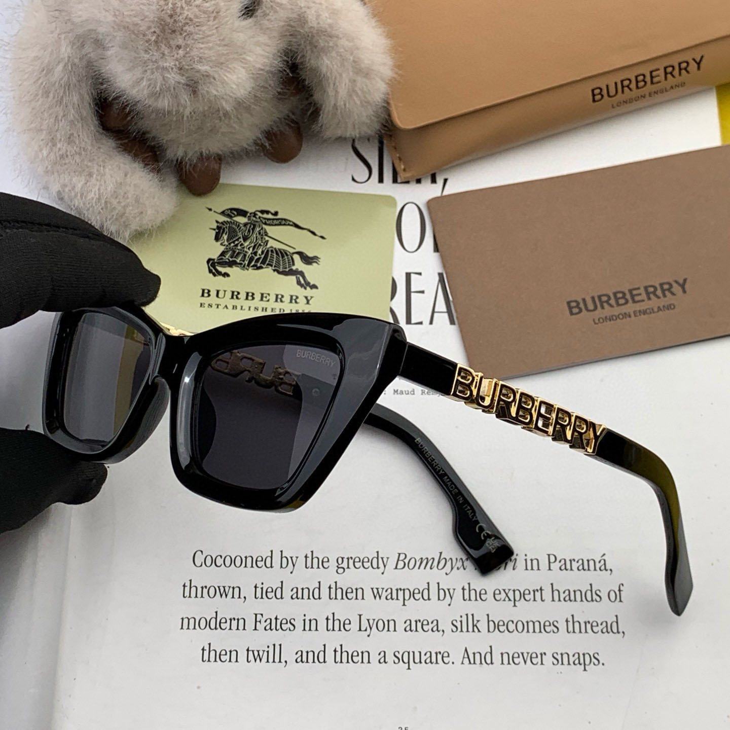 Bur Square Sunglasses Ev25061204