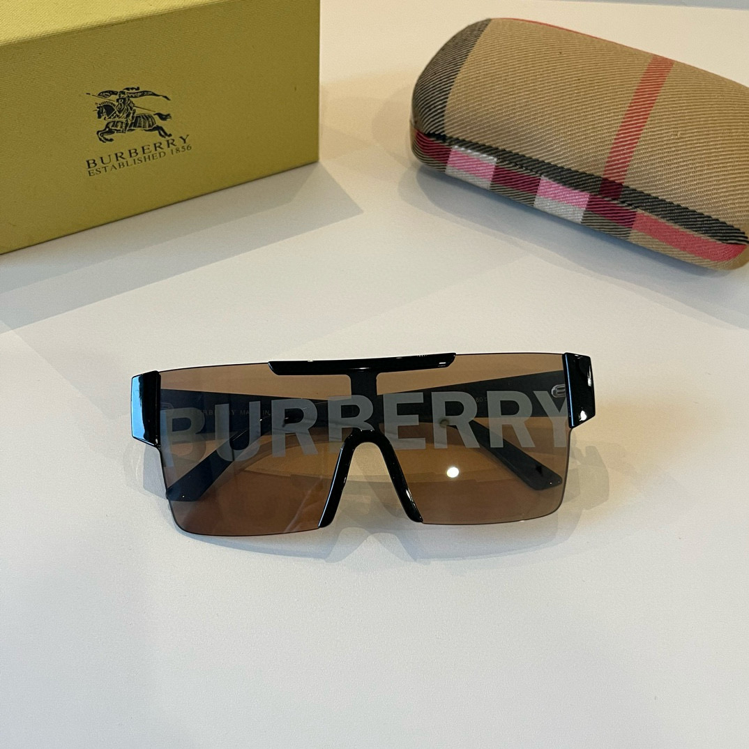 Bur classic sunglasses Ev25061196