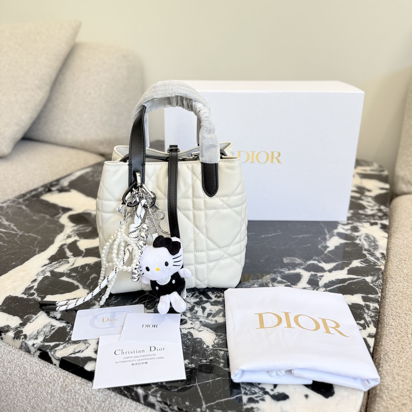 CD Toujours Black & White Small Bag DD25071301