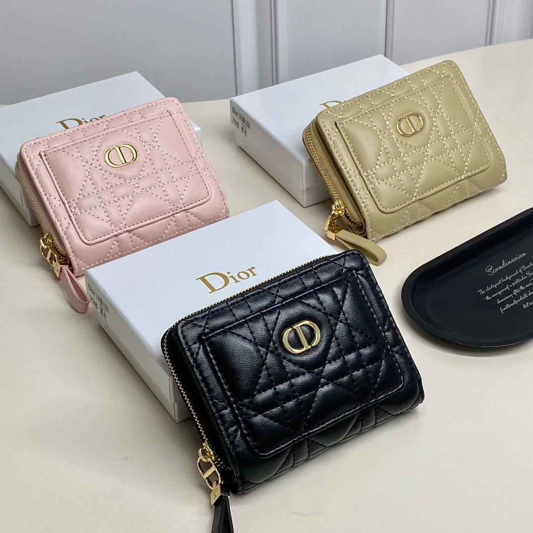 CD Multi-functional Small Wallet BD25073107