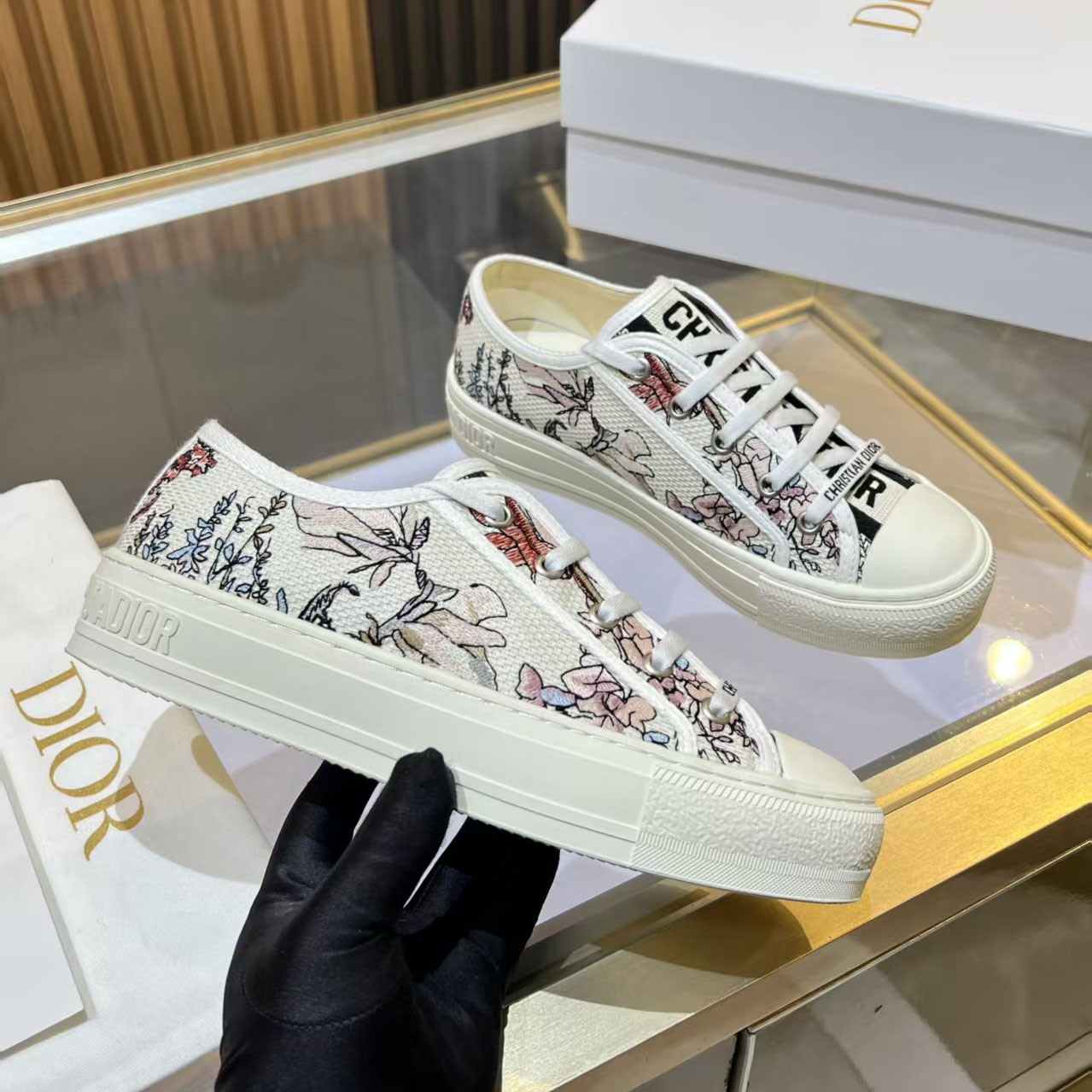 CD Embroidered Canvas Shoes DD25081309