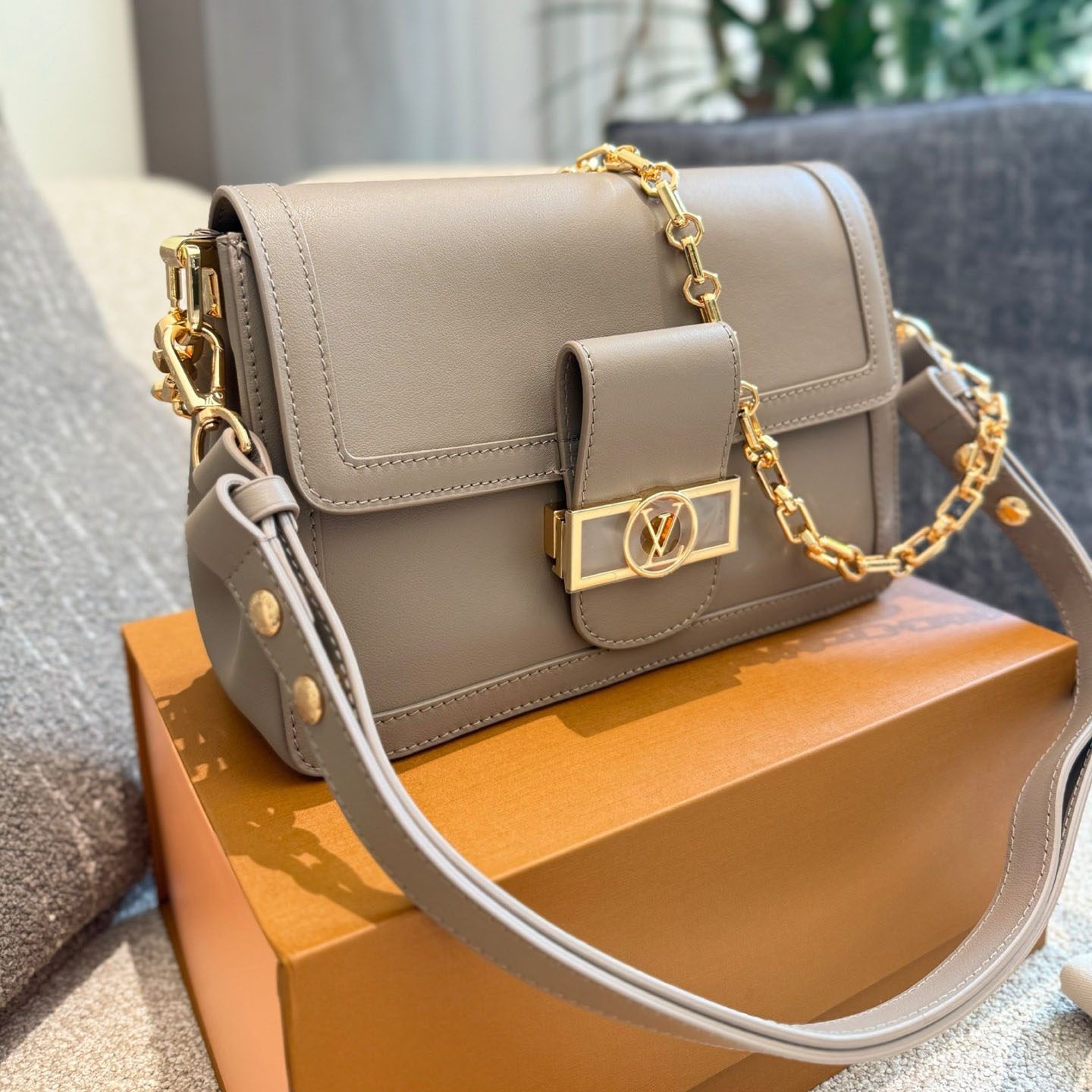 LV Dauphine Shoulder Bag DD25081301