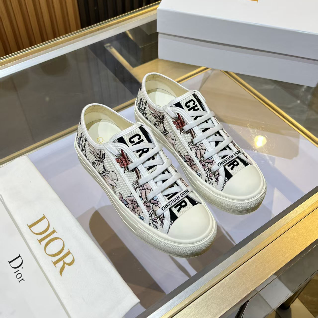 CD Embroidered Canvas Shoes DD25081309