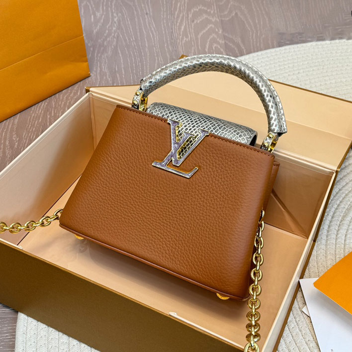 LV Small Capucines bag AM25081206