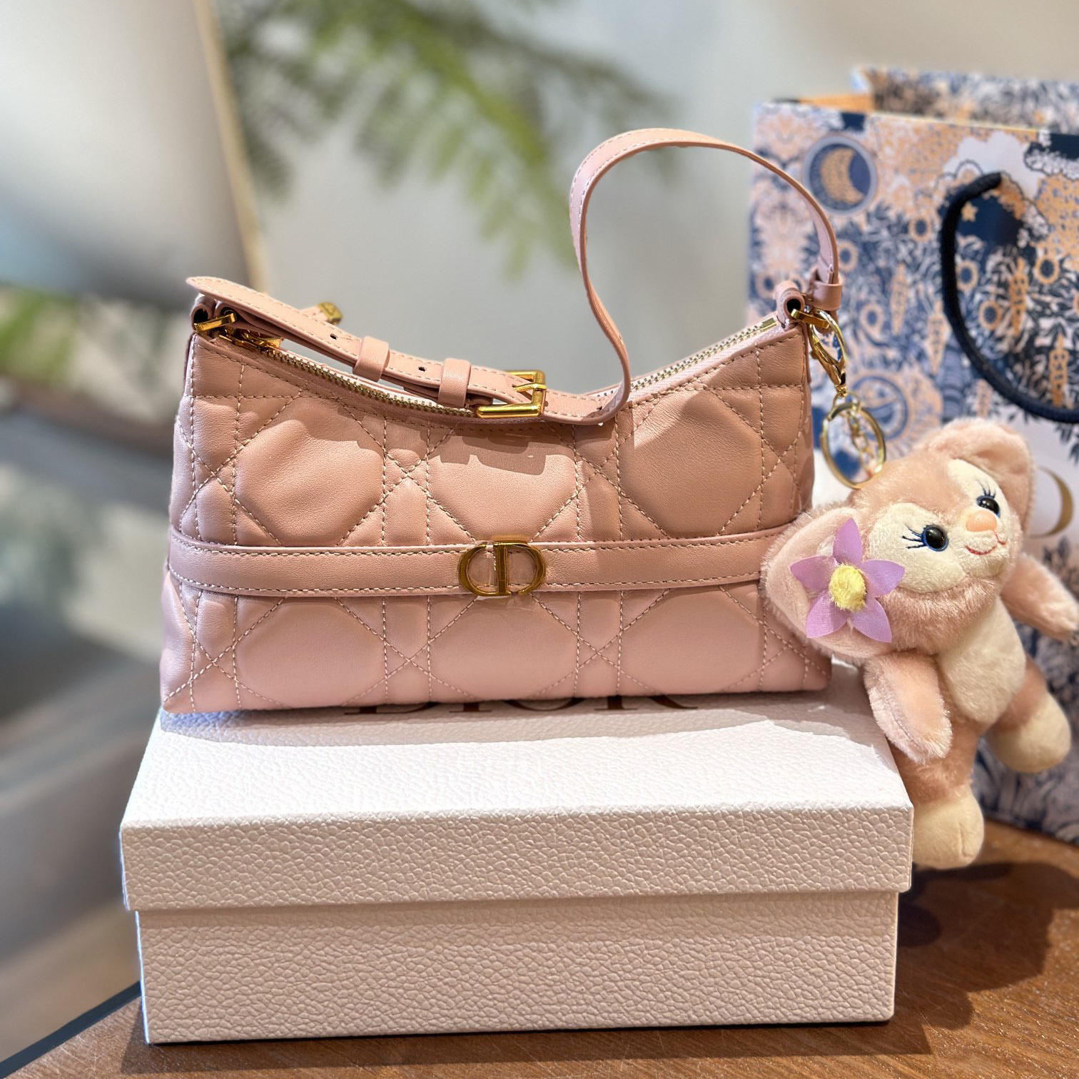 CD New Hobo Underarm Bag AM25081209