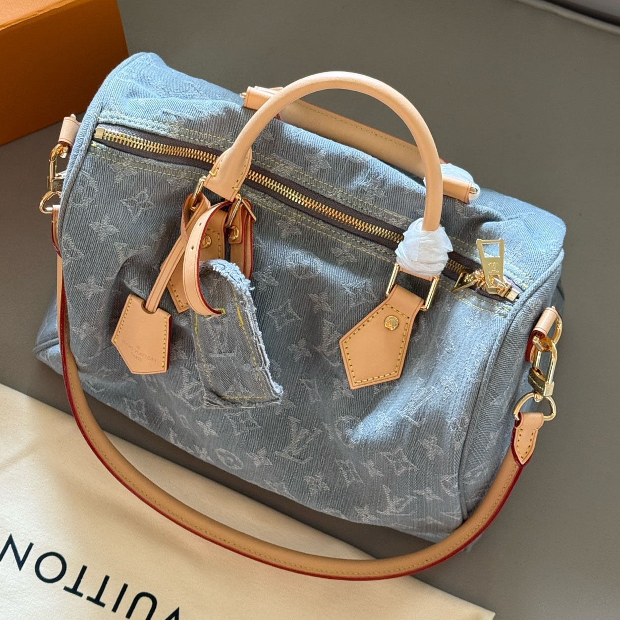 LV Speedy 30 Pillow Bag AM25081815