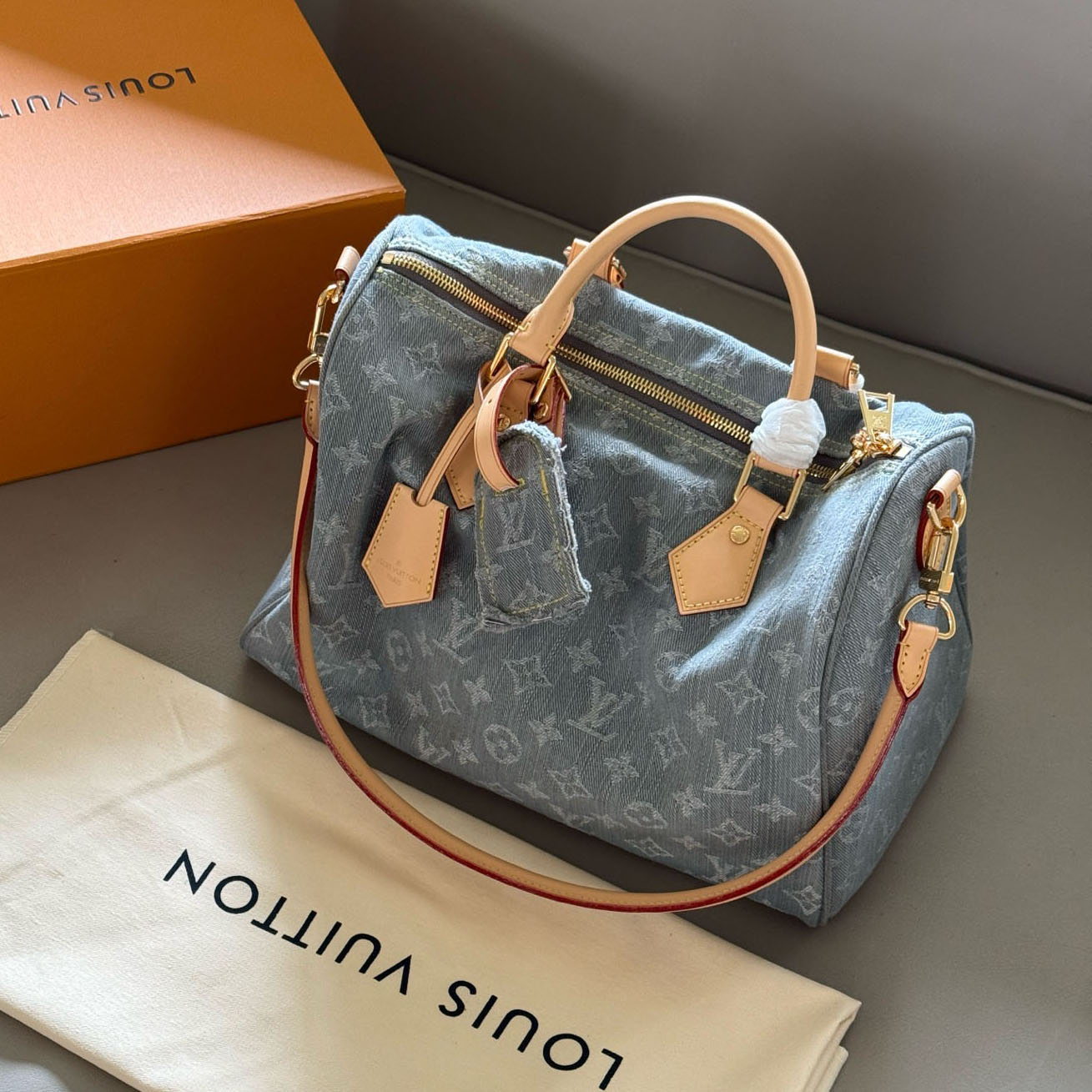 LV Speedy 30 Pillow Bag AM25081815