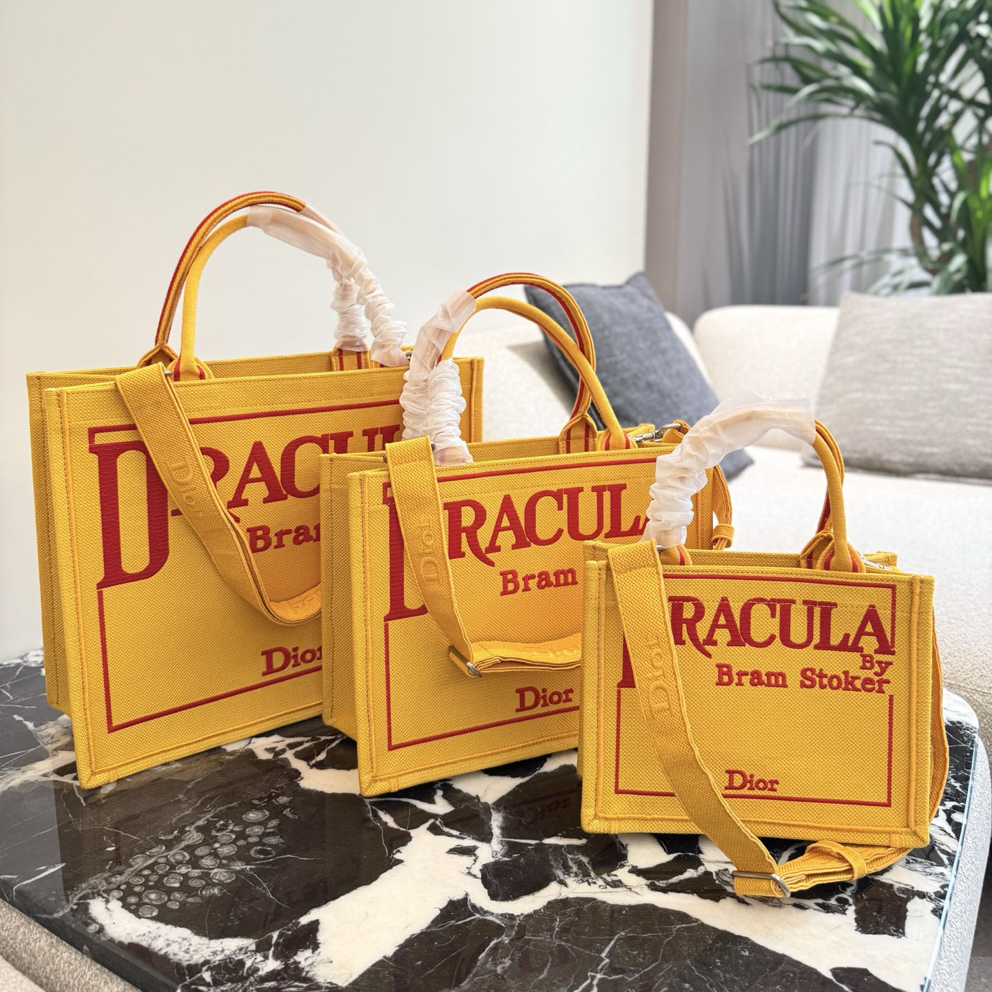 CD 25New Book Tote AM25081903