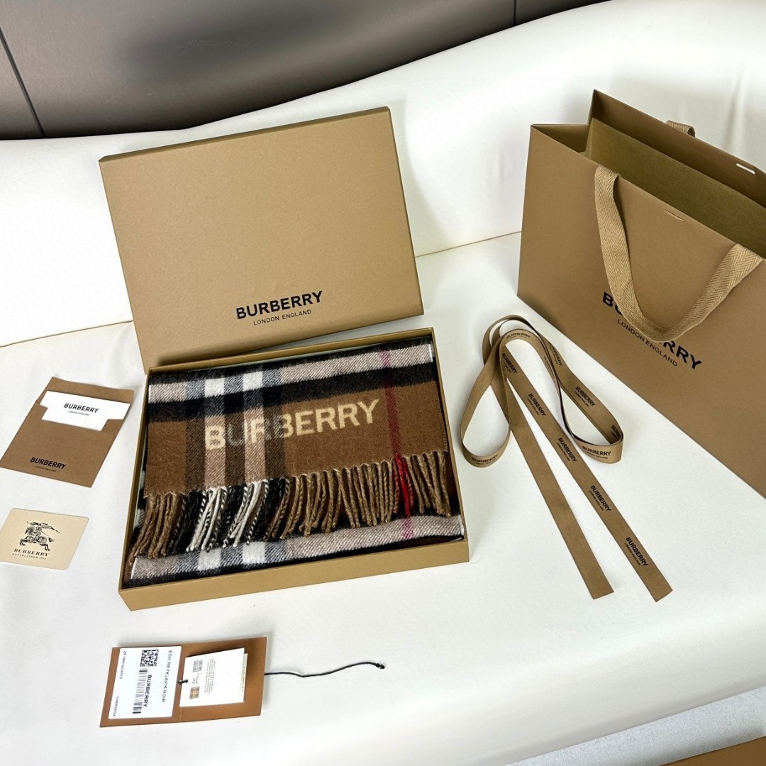 Bur Classic Check Double-sided Color-blocked Cashmere Scarf YV25091509