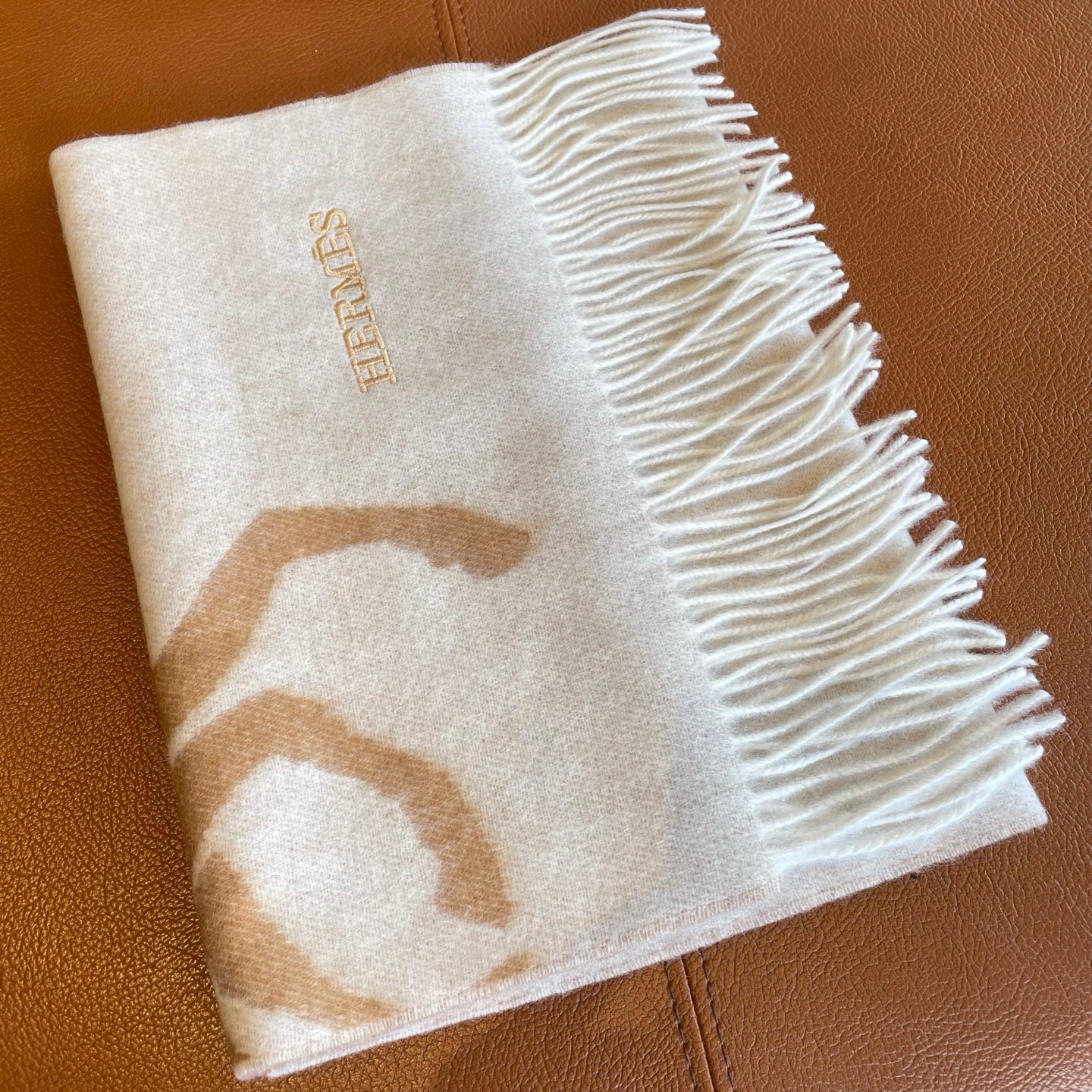 HM Unisex Horse and Carriage Jacquard Cashmere Scarf  YV25091611