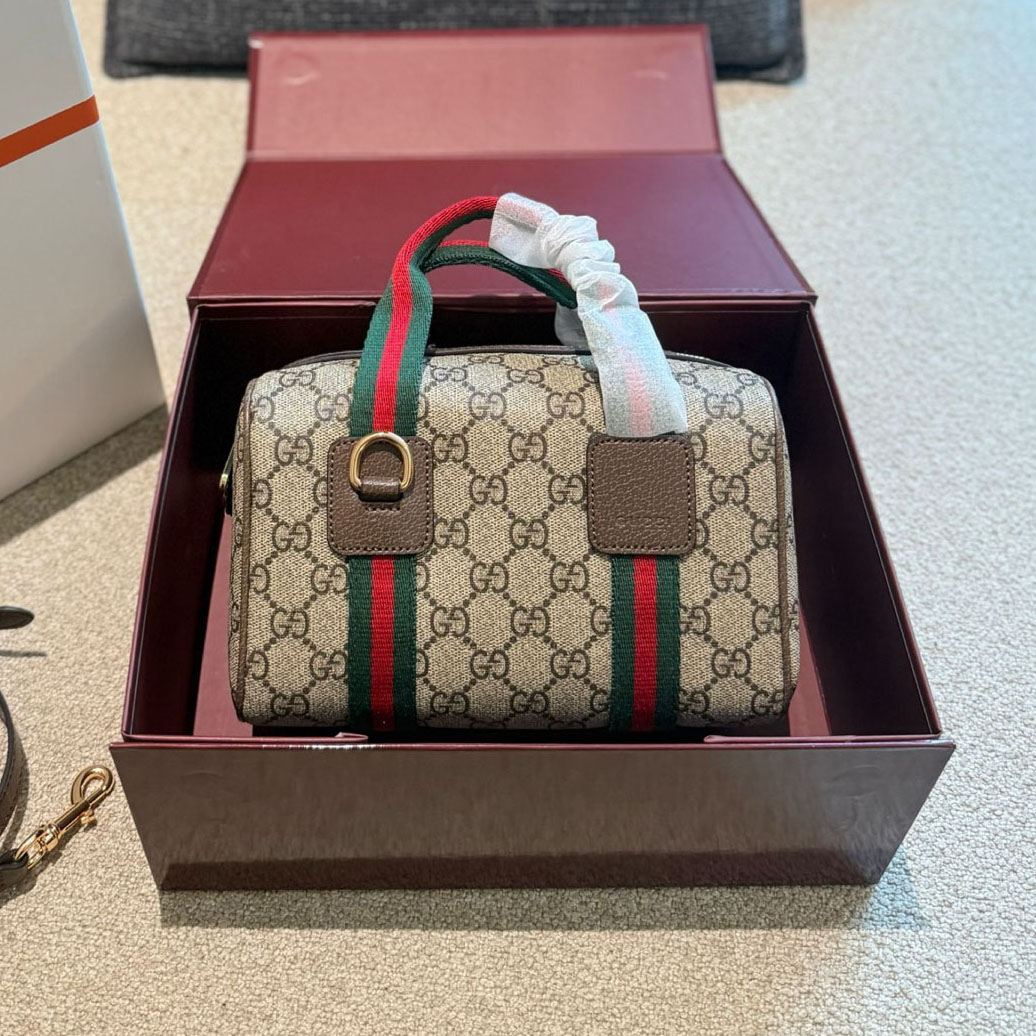 GG Ophidia Mini Handbag DD25080509