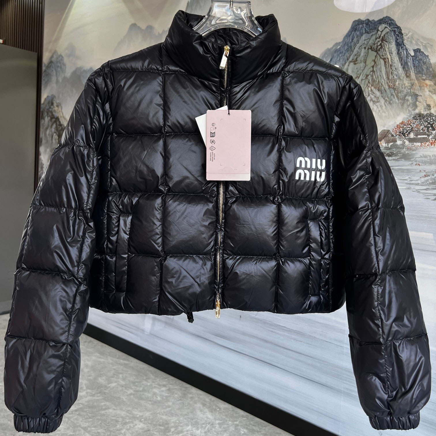 Miu Short Casual Down Jacket XX25101701