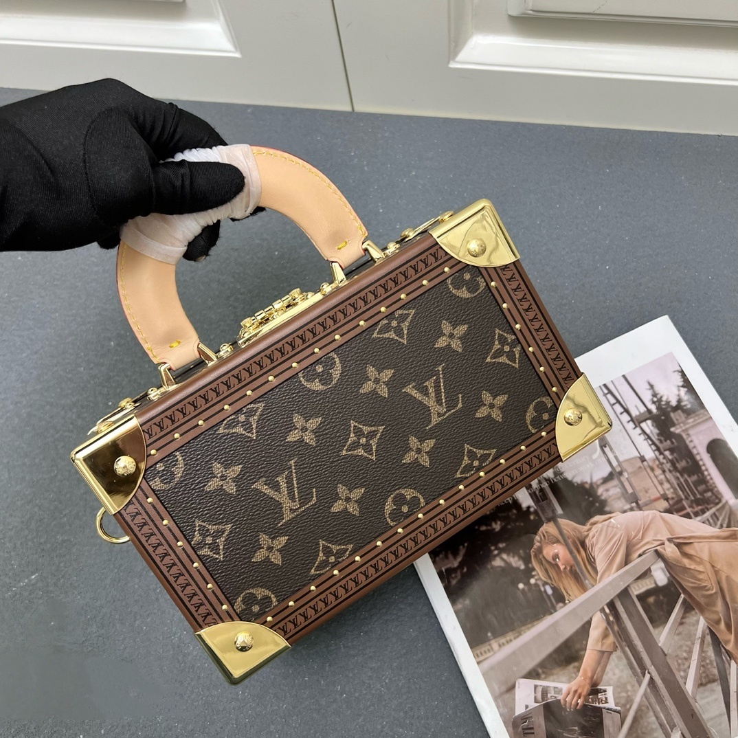 LV Petit Malle Modern Sensibility Bag YV25110401