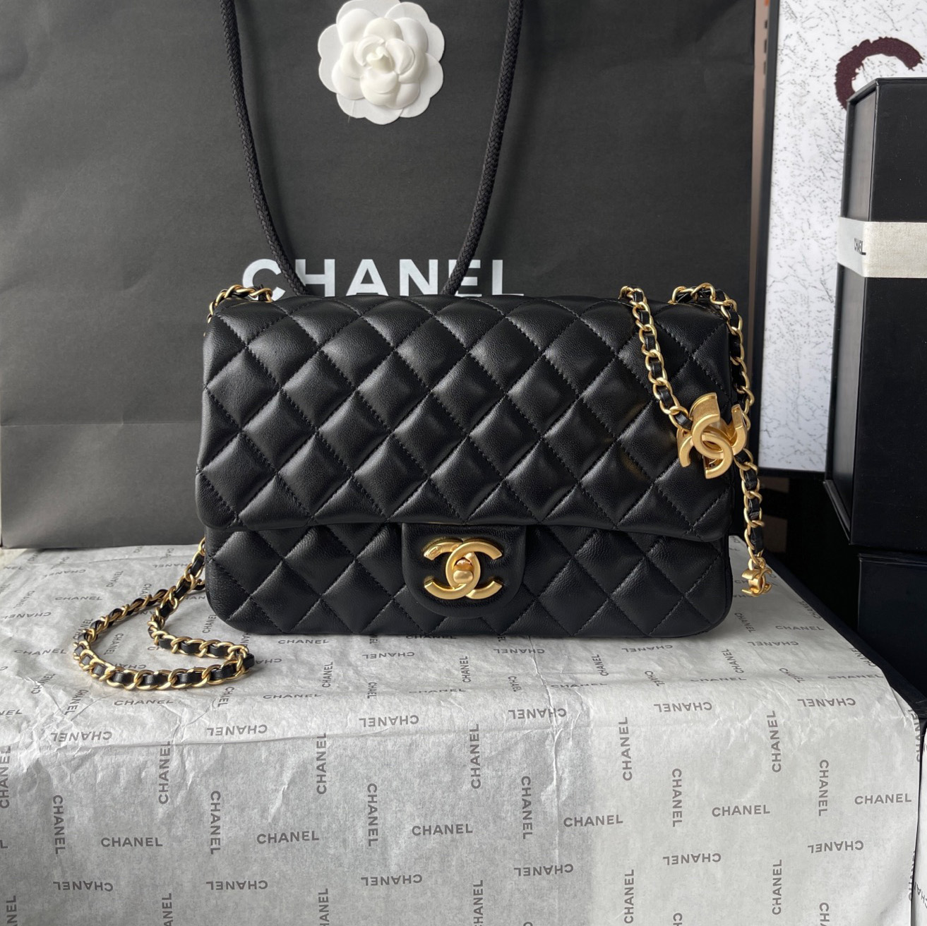 CH 25B Chain Bag FNG112206